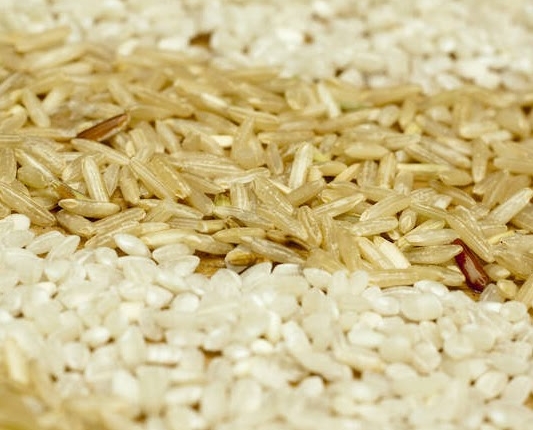 Rice